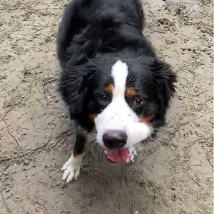 Meet your Posher, Maile